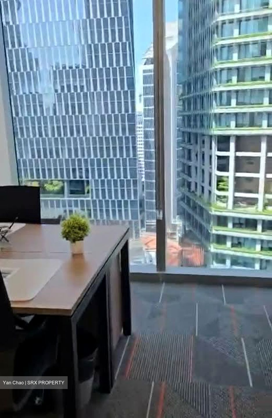 PLUS (D1), Office #554607891